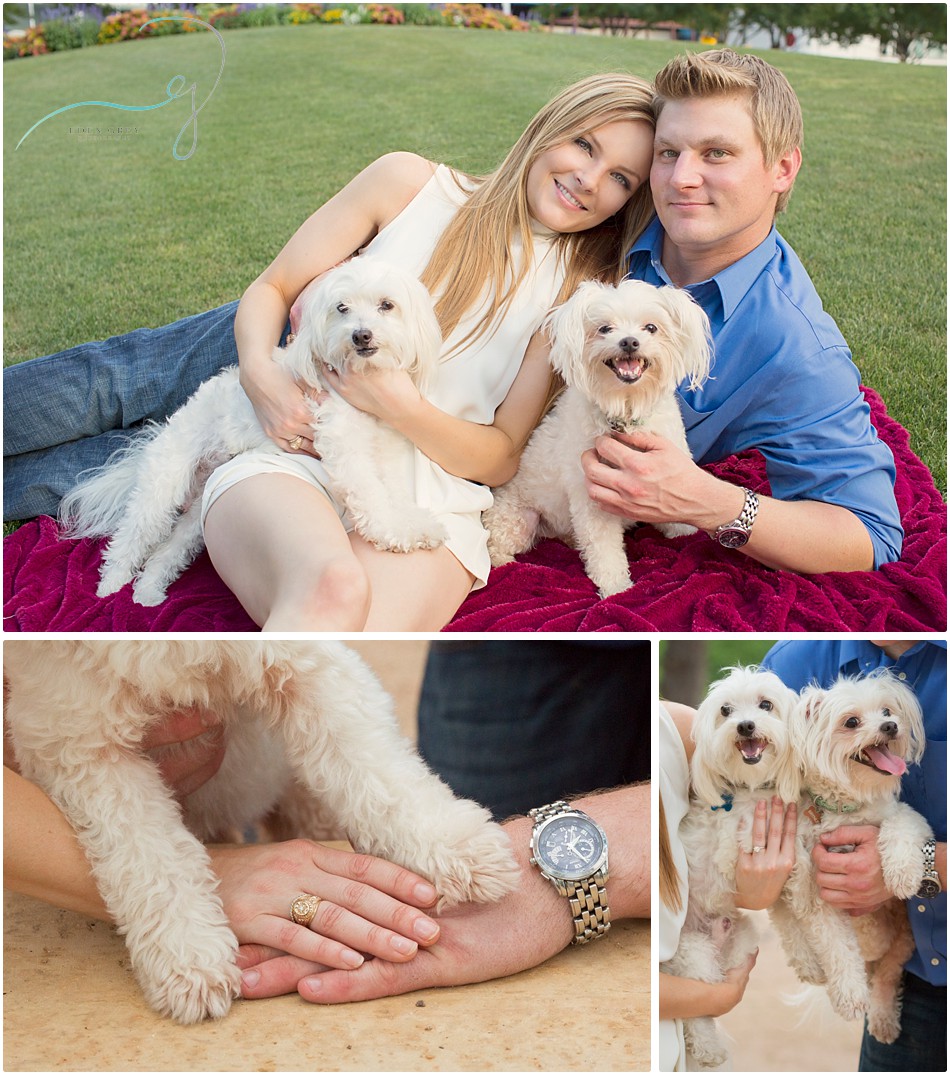 Houston, Texas Engagement Photographer pictures with dogs