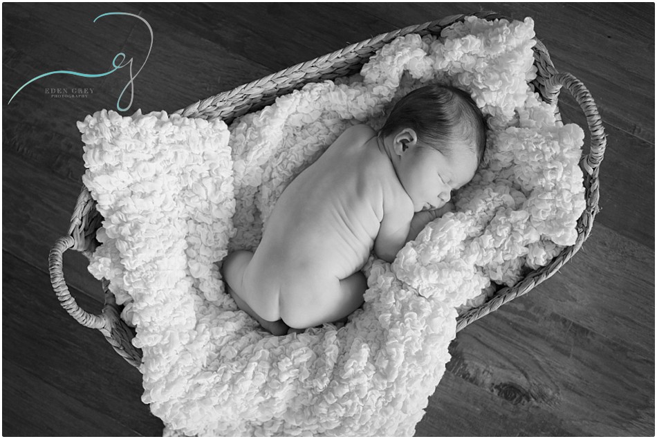 Houston Newborn Photographer 