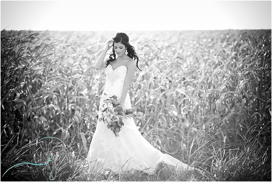 Corn Fields and New Brides