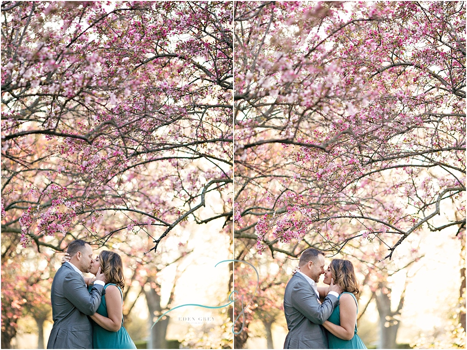 Cherry Blossom engagement sessions