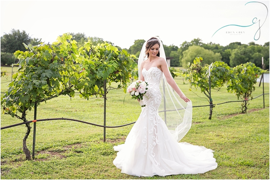 Vineyard Weddings, Destination Wedding Photographer