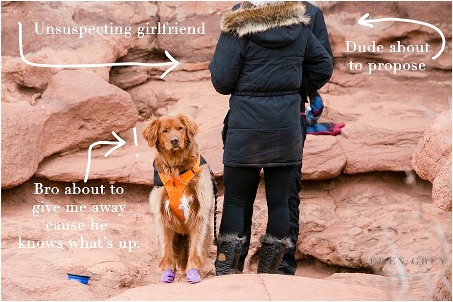 Surprise Proposal in Colorado