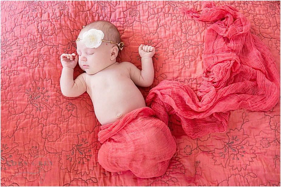Houston Newborn Photographers