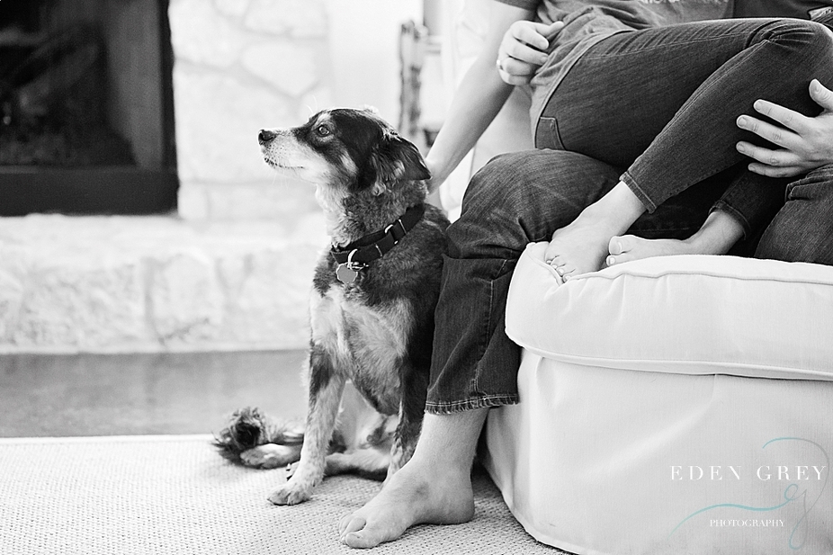 Engagement Pictures with Dogs & Animals