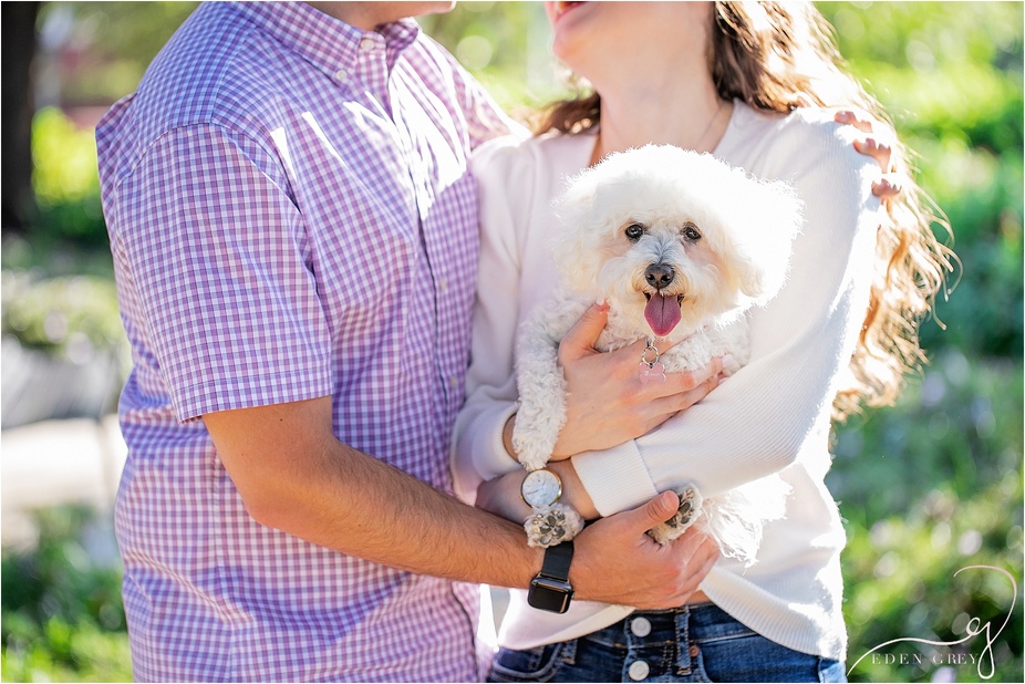 Engagement Pictures with Dogs