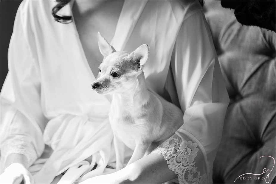 Wedding day with fur babies