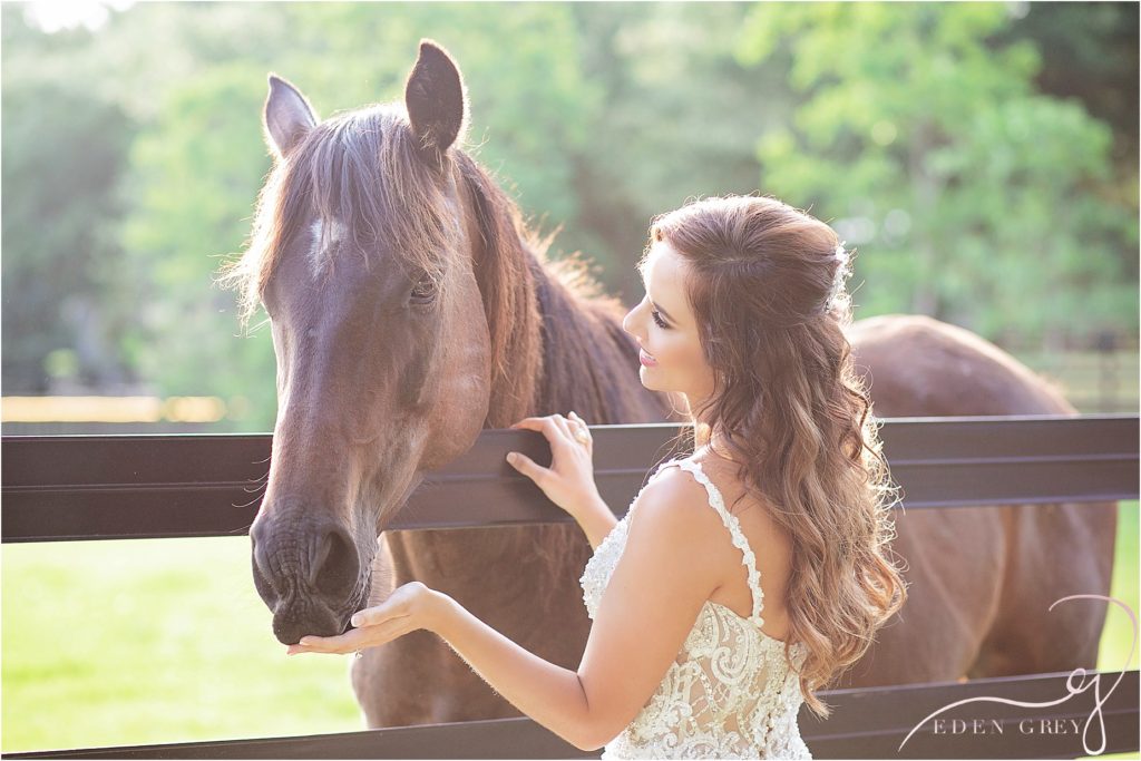 Bridal Pictures with Horses