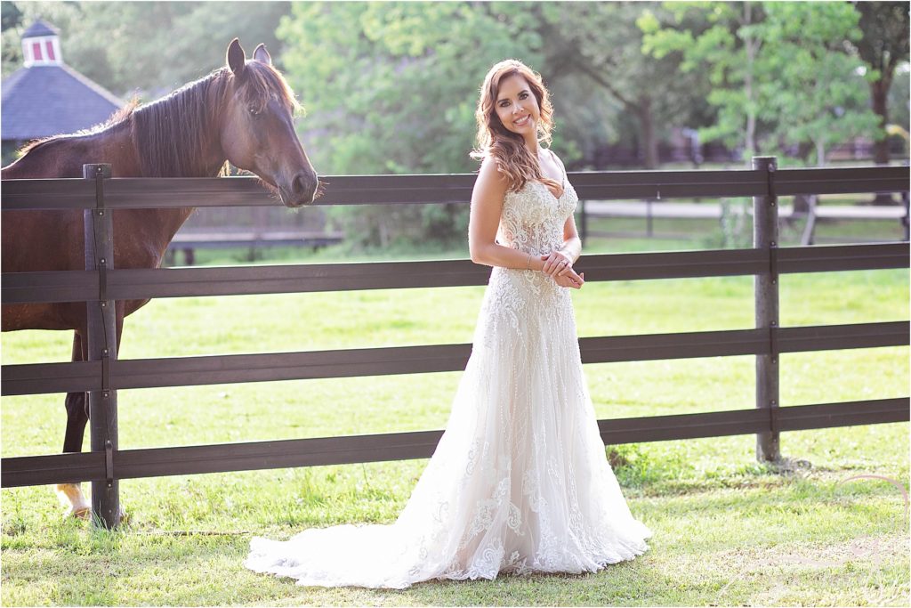 Wedding Portraits with Horses